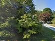 17 chopteaque ln, marstons mills,  MA 02648