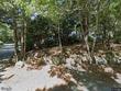  south yarmouth,  MA 02664