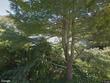 chatham,  MA 02633