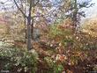  brewster,  MA 02631