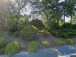  brewster,  MA 02631