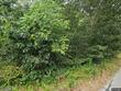  wellfleet,  MA 02667