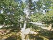  west yarmouth,  MA 02673