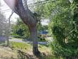 355 training field road, north chatham,  MA 02650