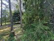  osterville,  MA 02655