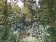 28 lakeview dr, centerville,  MA 02632