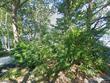  mashpee,  MA 02649