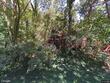  wellfleet,  MA 02667