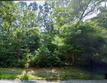 591 wakeby rd, marstons mills,  MA 02648