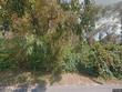 75 standish avenue, falmouth,  MA 02504