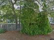 855 w main st unit 11, barnstable,  MA 02630