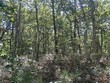 94 lowell rd, mashpee,  MA 02649