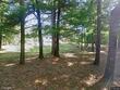  cotuit,  MA 02635