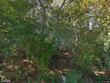 sagamore,  MA 02561